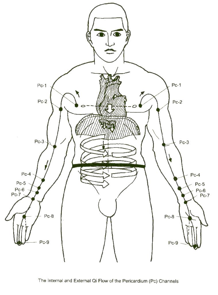 Pericardium The Heart Protector – Dr. Elizabeth Cox, ND, LAc